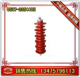 供應(yīng)氧化鋅避雷器 避雷器 山東中煤工礦公司中貿(mào)公司 工程機(jī)械配件,斷路器,電纜輸送設(shè)備,交通設(shè)備,測(cè)試儀傳感器